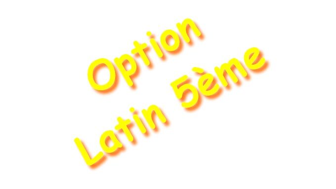 option latin.jpg
